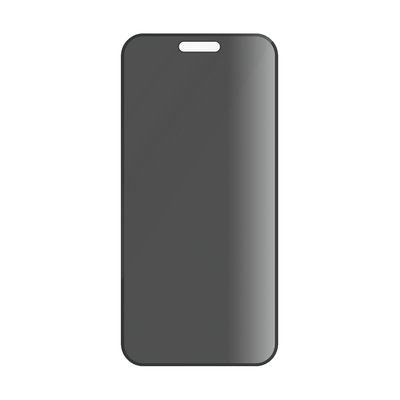 Panzer iPhone 16 Plus Privacy Ultra Wide Fit Sp