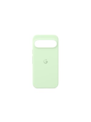 Google Pixel 9 + Pixel 9 Pro Case Wintergreen