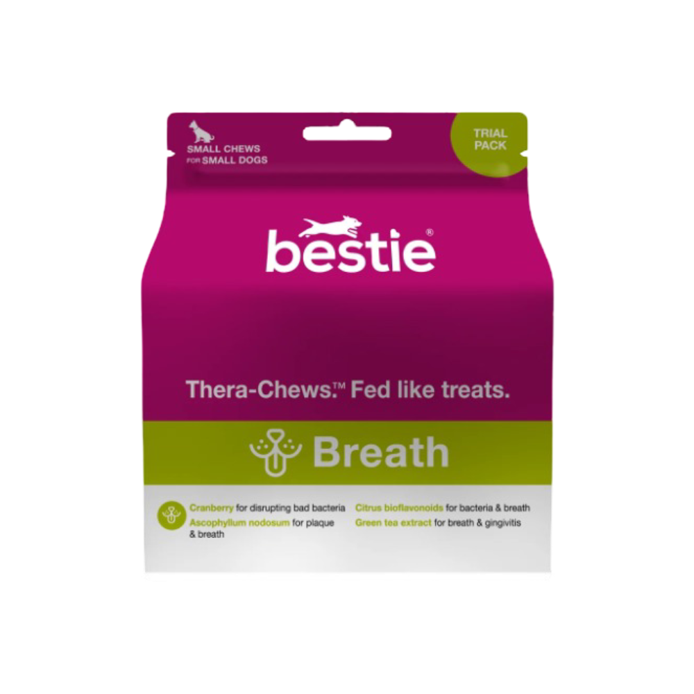 Bad Breath Bad Snacks For Dogs Breath Buster Puppy Treats For Bad