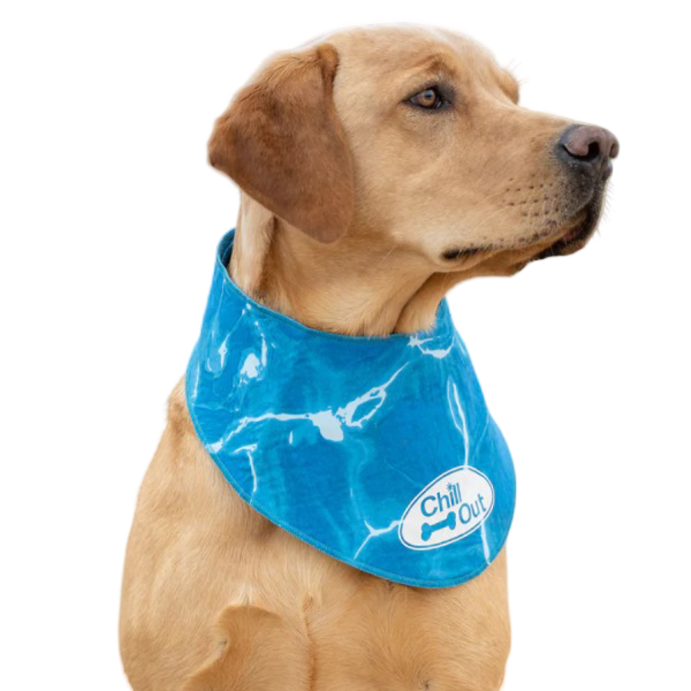 All For Paws Chill Out Summer Cooling Bandana for Dogs