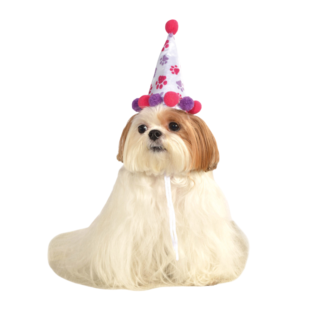 Rubies Deerfield Paw Print Girl Pet Birthday Hat