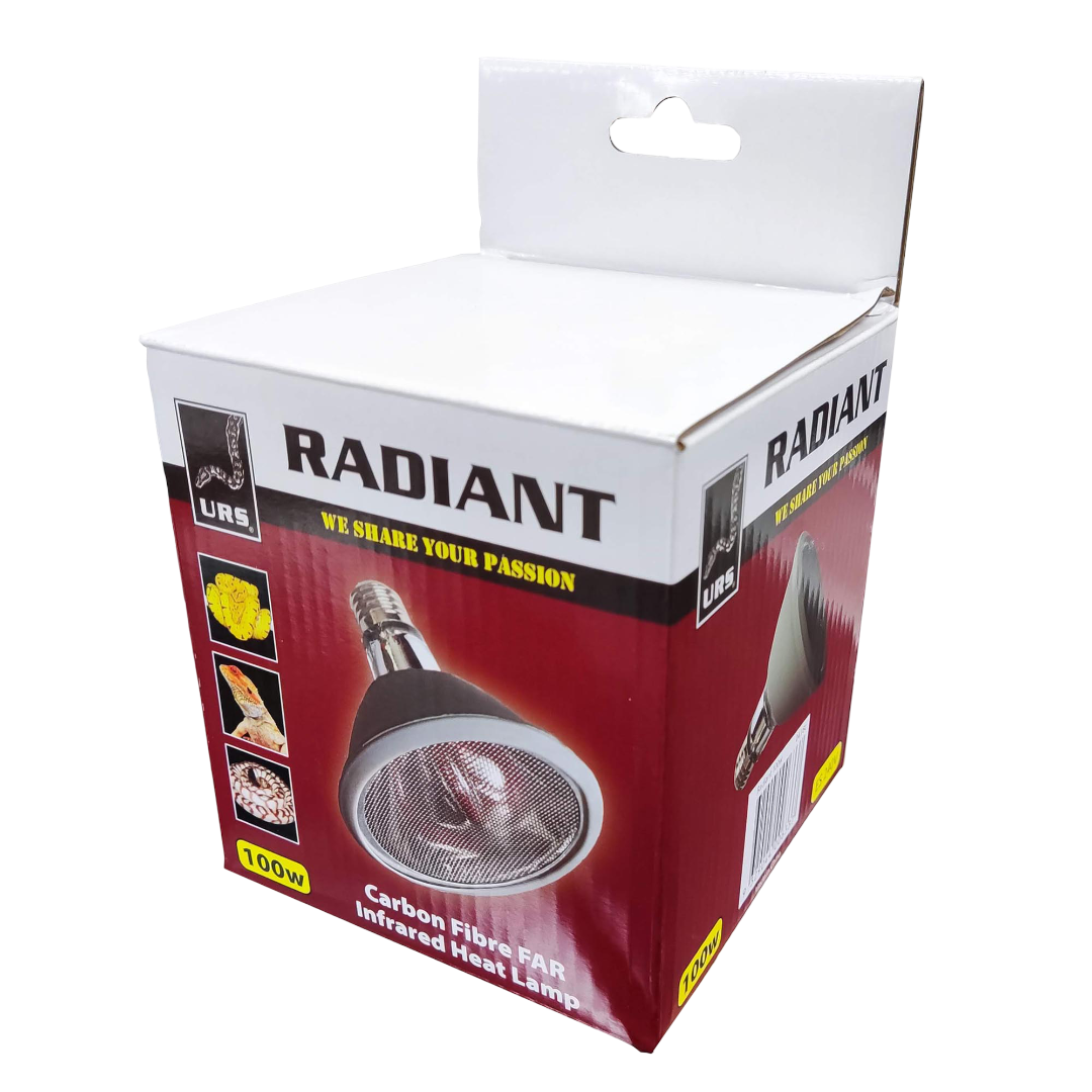 Radiant Globe