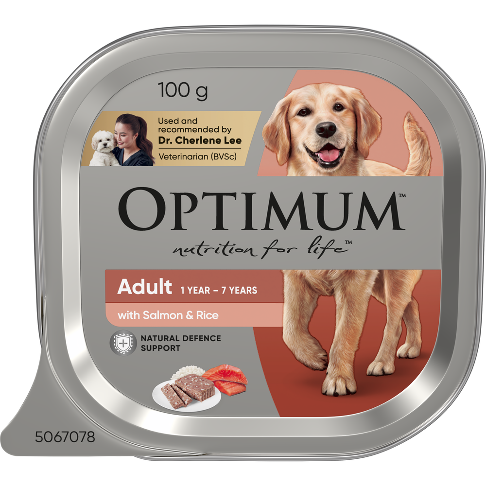 Optimum Salmon and Rice Adult Wet Dog Food Trays