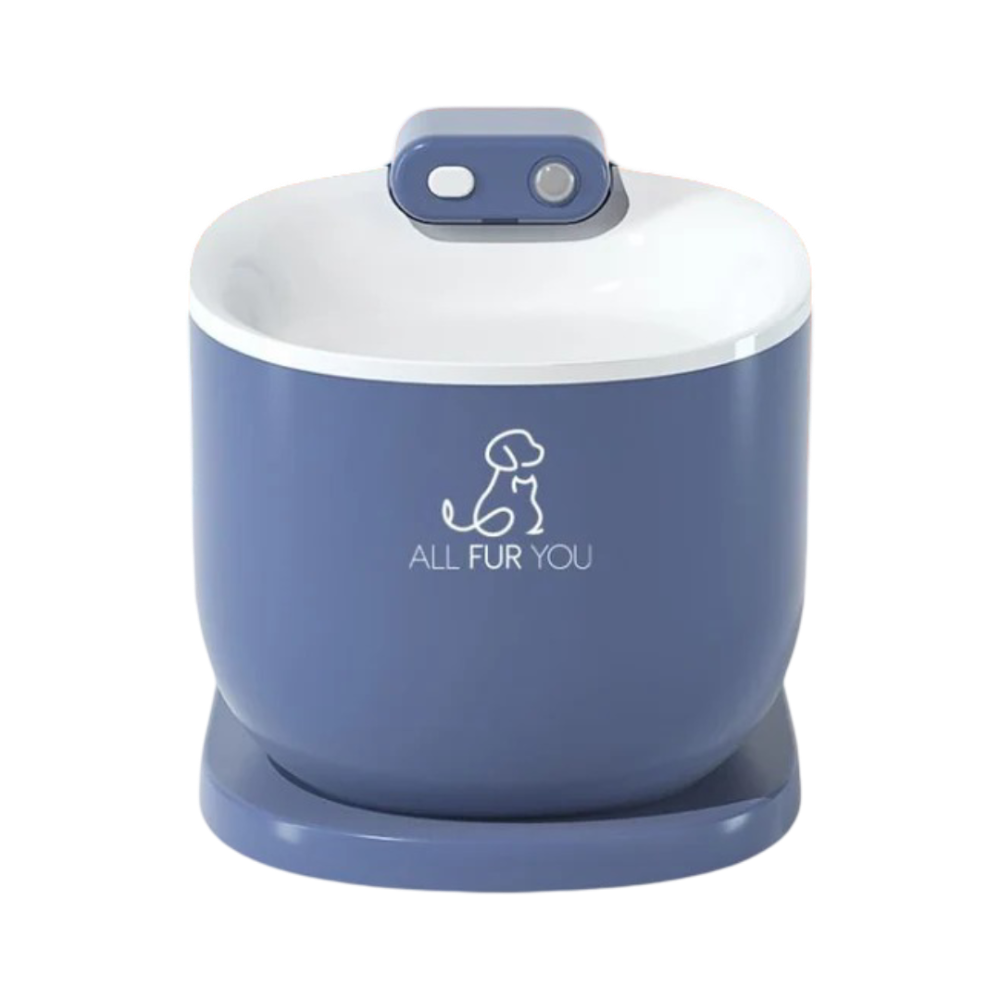 All Fur You Cordless Auto Sensor Pet Water Fountain in Blue