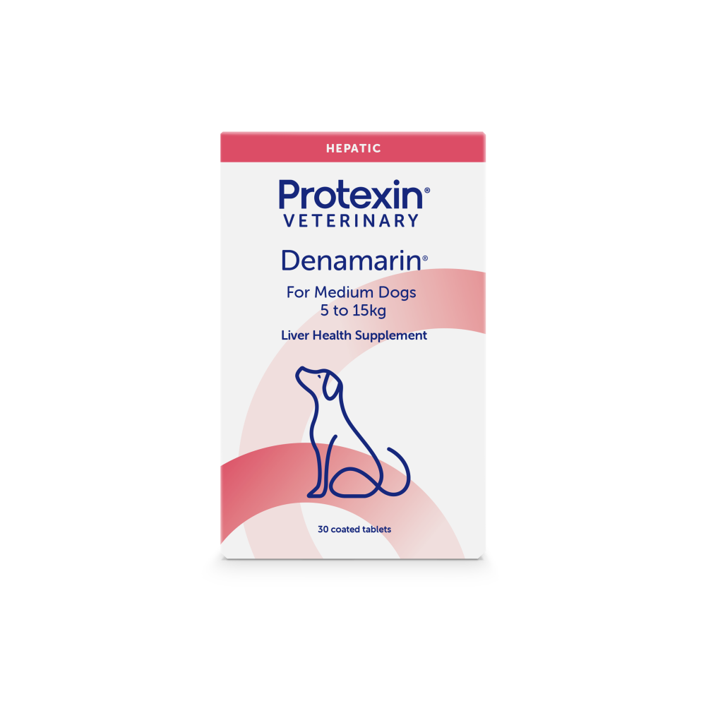 Protexin Denamarin Liver Support Medium Dogs