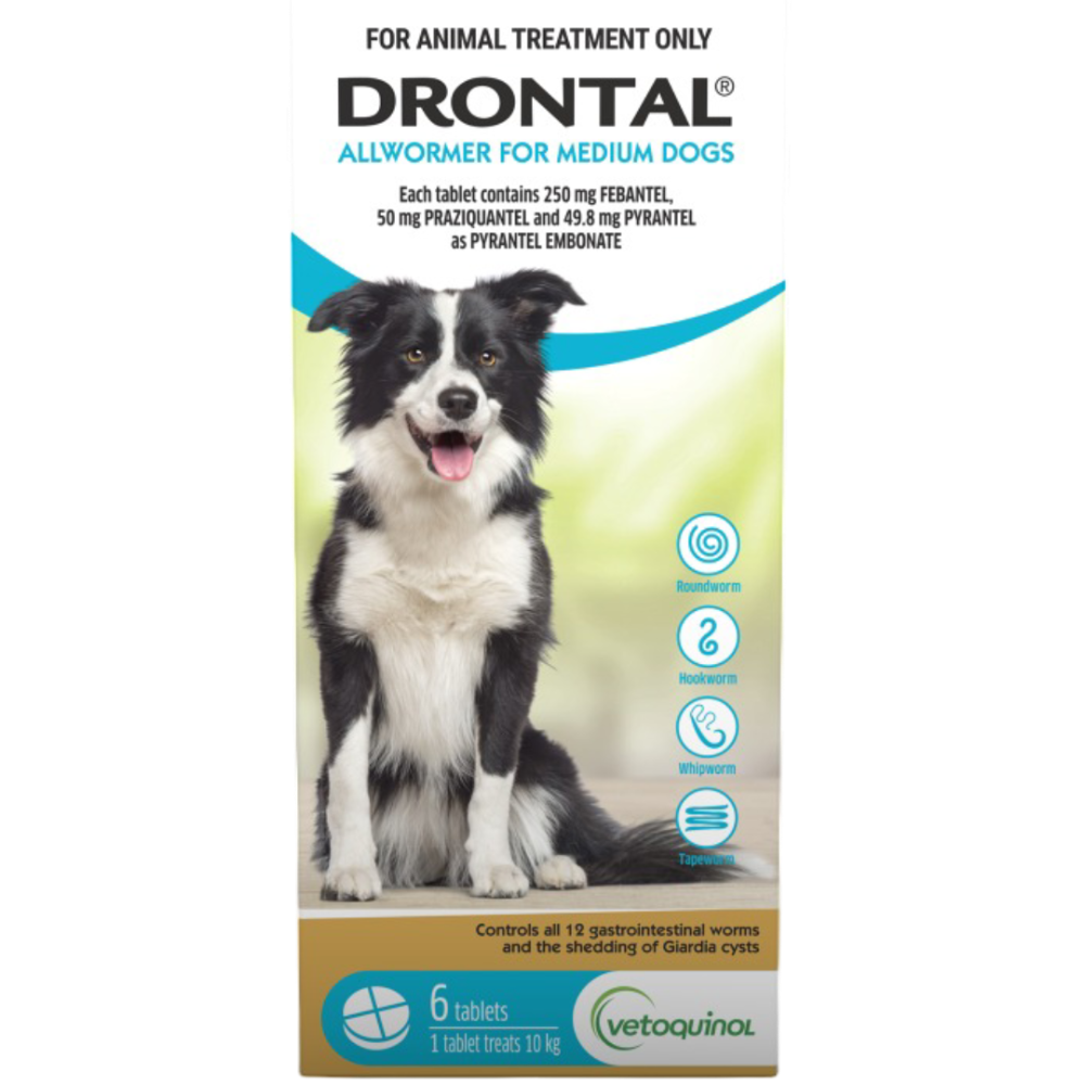 Drontal Dog Allwormer Tablet
