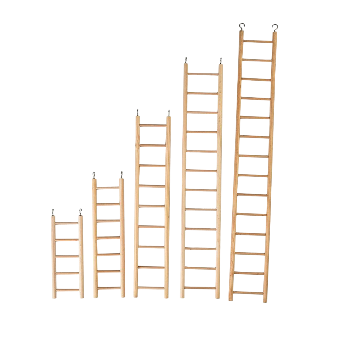 Nature Island Plain Wooden Ladder Bird Toy