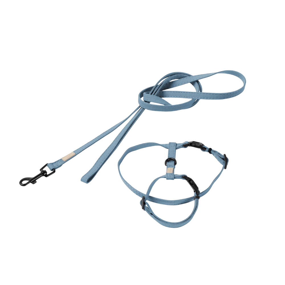 Fuzzyard Life Cat Walking Set French Blue