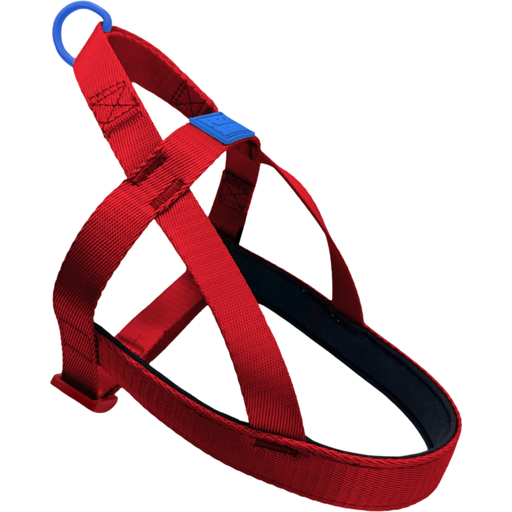 Fuzzyard Sugar Rush Comfort Harness Cherry Charge