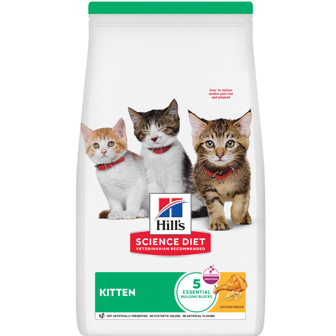 Kitten Dry Cat Food