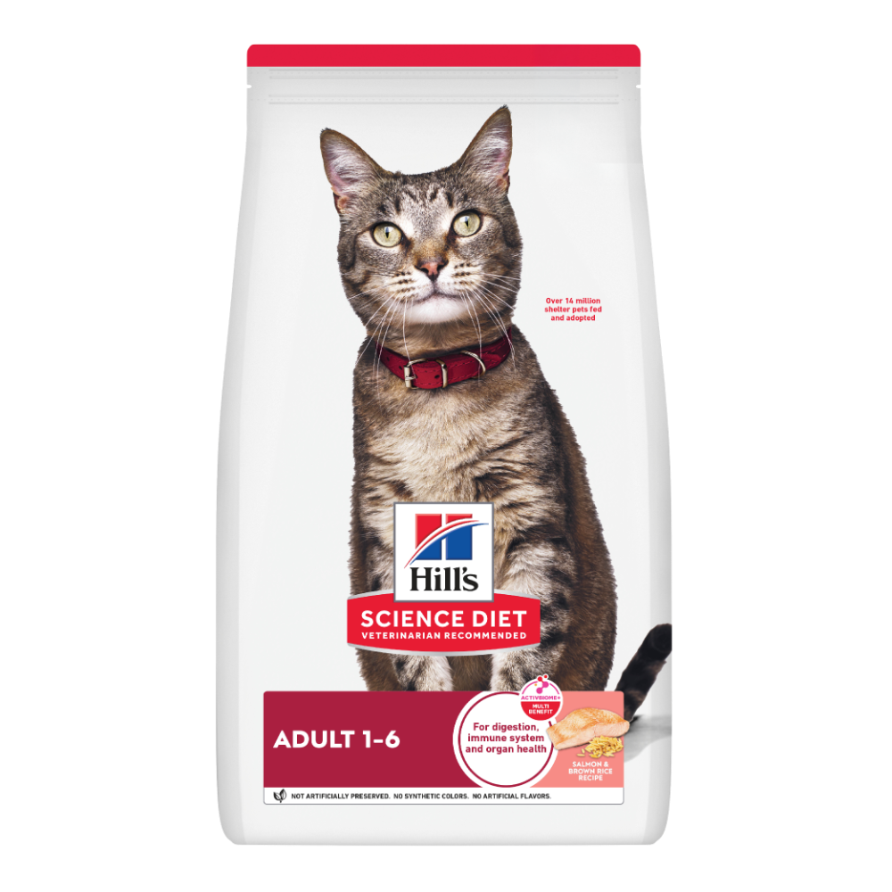 Hills Science Diet Salmon Adult Dry Cat Food