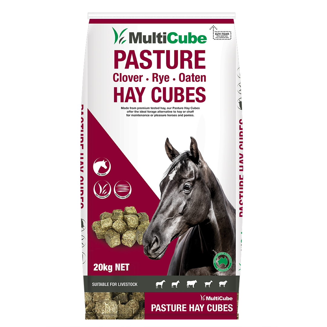 Multicube Pasture Clover, Rye, and Oaten Hay Cubes