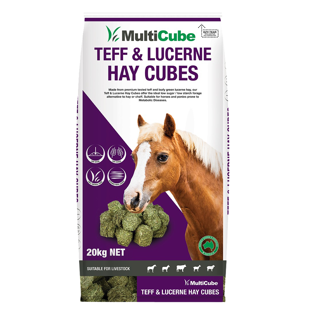 Multicube Pasture Lucerne & Teff Hay Cubes