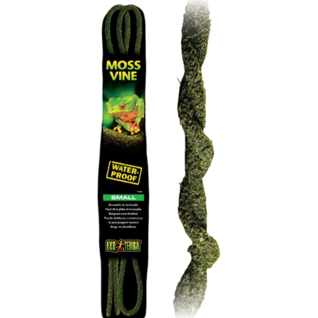 Exo Terra Bendable Moss Vine For Aboreal Reptiles & Amphibians | Top ...