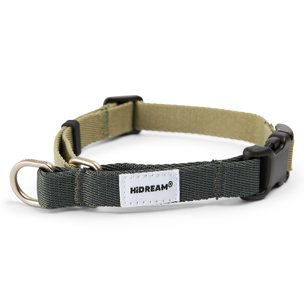 Half P Chain Training Dog Collar in Sage