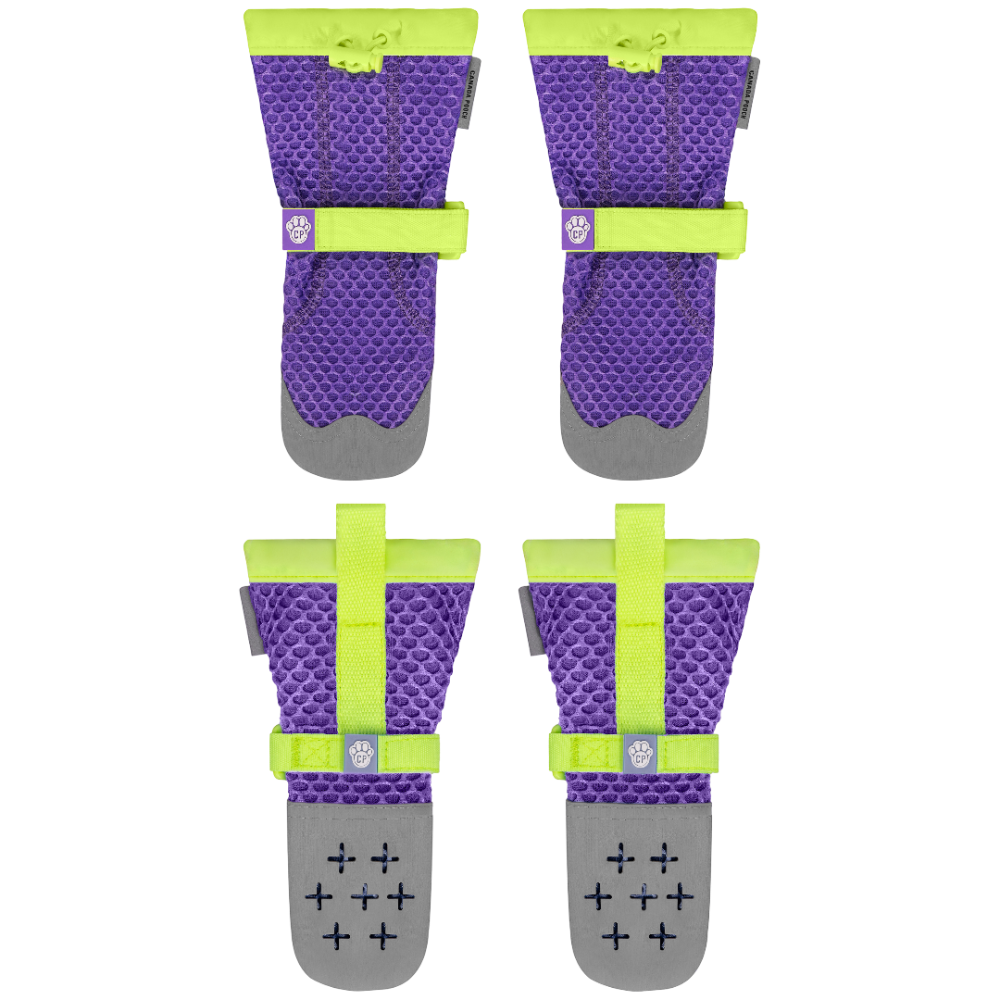 Canada Pooch Hot Pavement Dog Boots Purple Lime Green