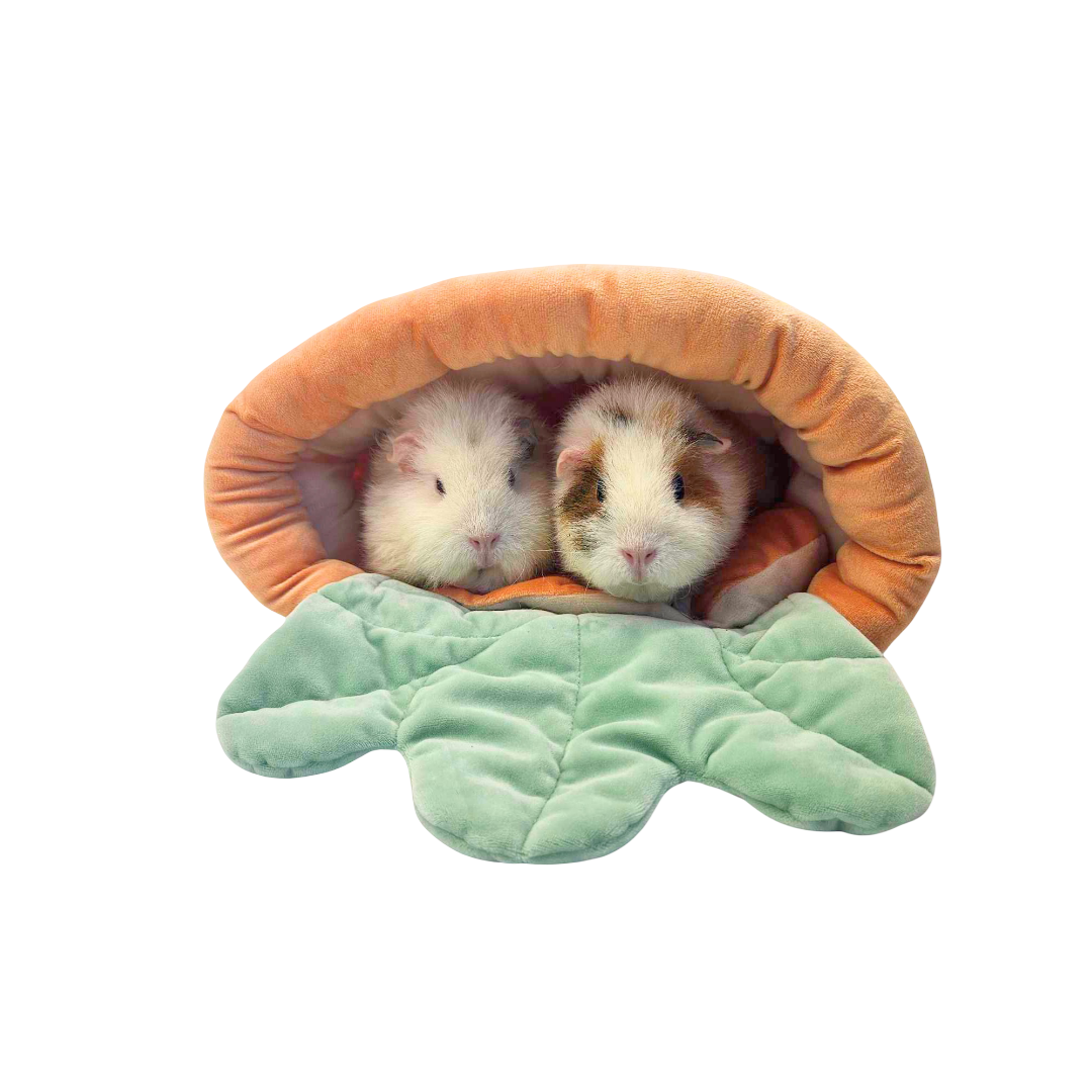 Ozzy Cages Cuddly Carrot Bed Guinea Pig Sofy Bed