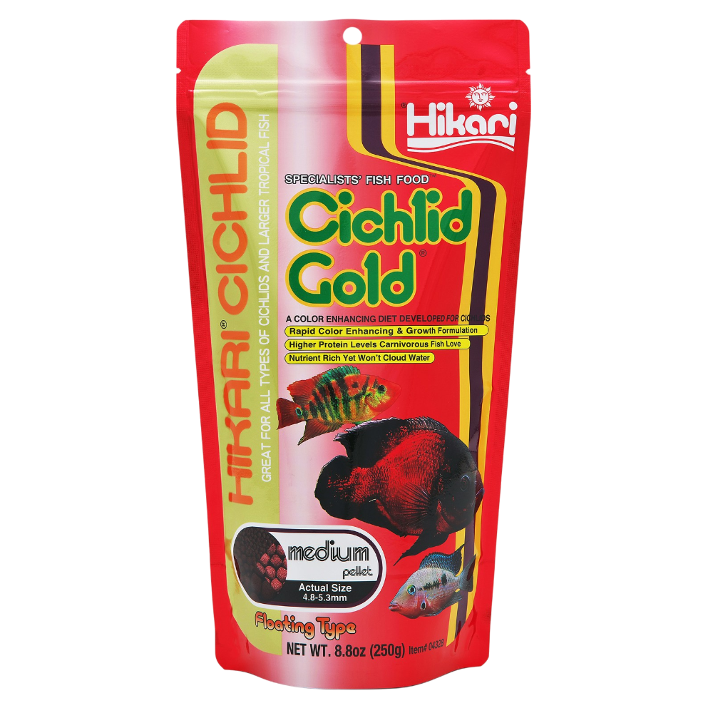 Cichlid Gold Medium