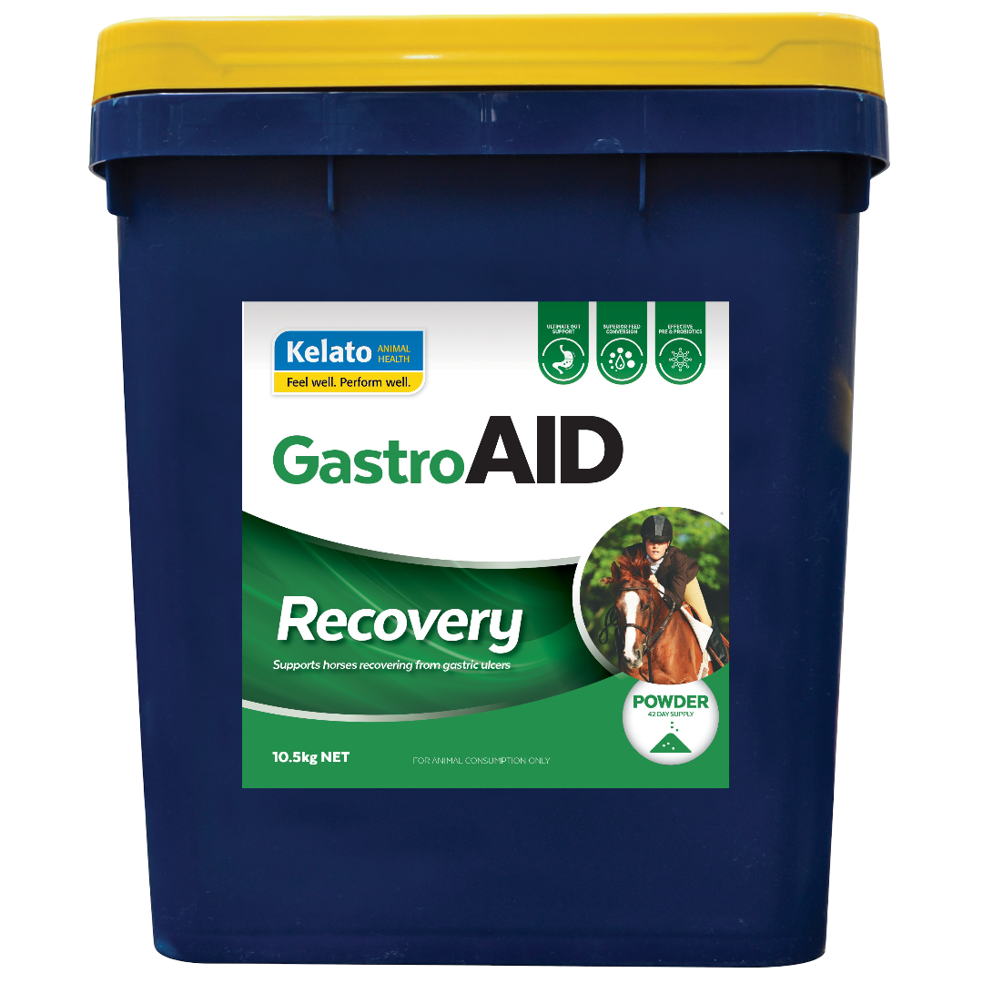 Kelato Kelato Gastroaid Recovery Gastric Ulcer Support Horse Supplement ...