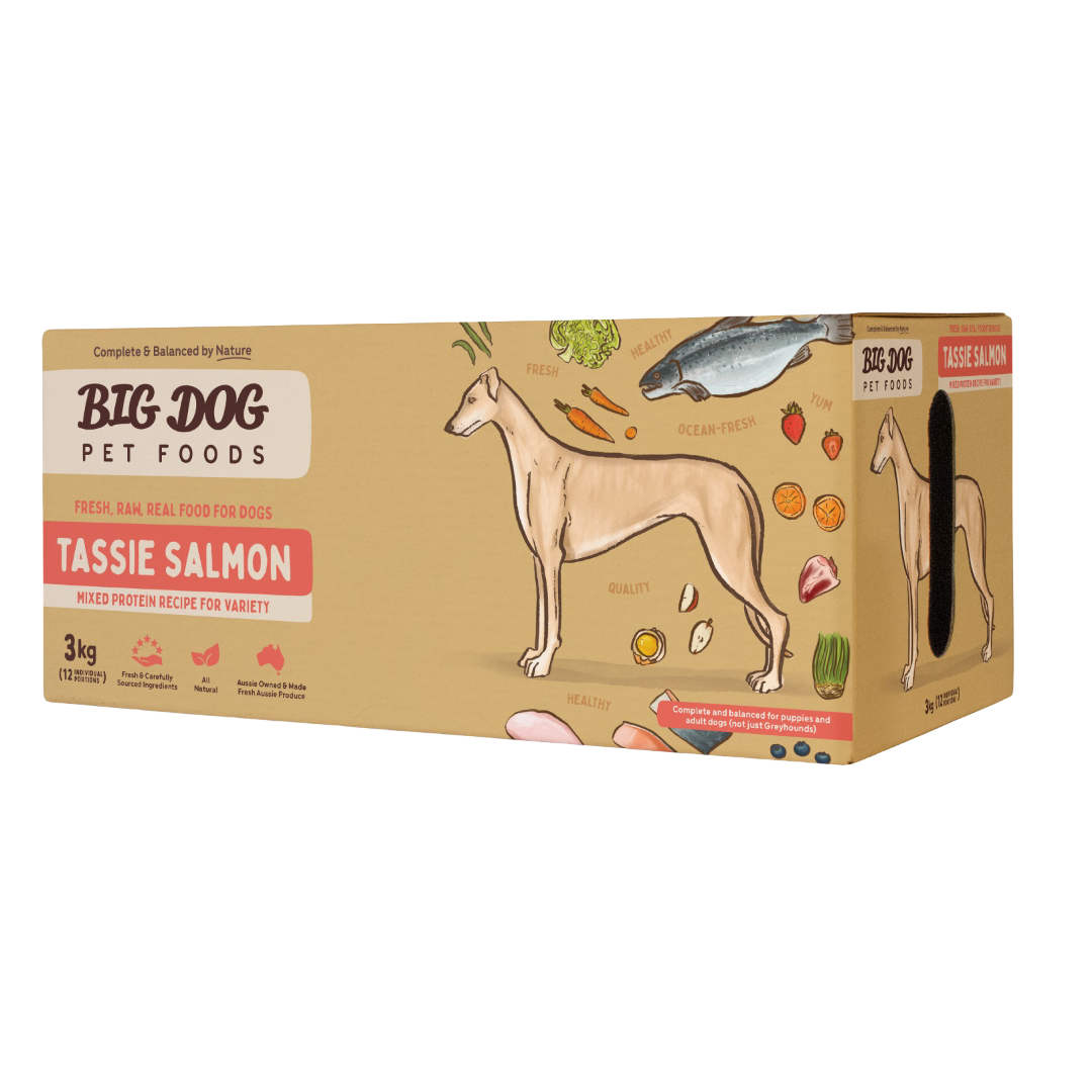 Big Dog Tassie Salmon Frozen Raw All Lifestages Dog Food