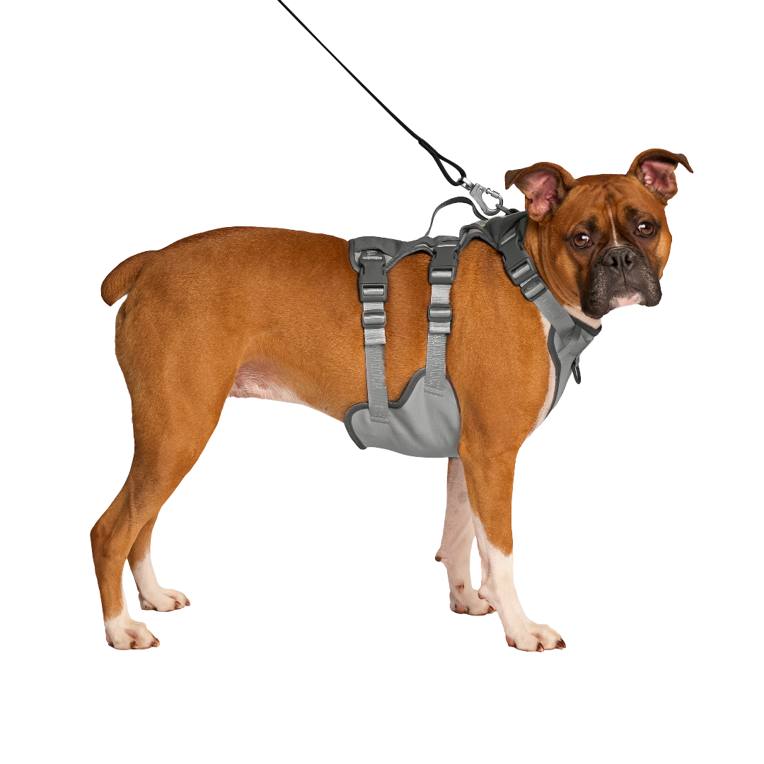 Canada Pooch Max Chill Cooling Dog Harness Grey