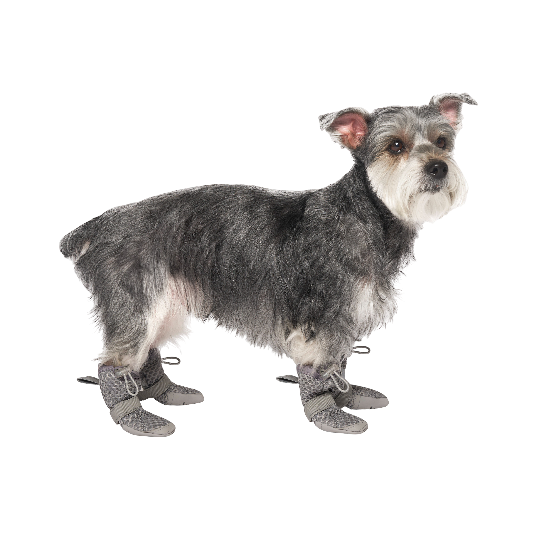 Canada Pooch Hot Pavement Dog Boots Grey