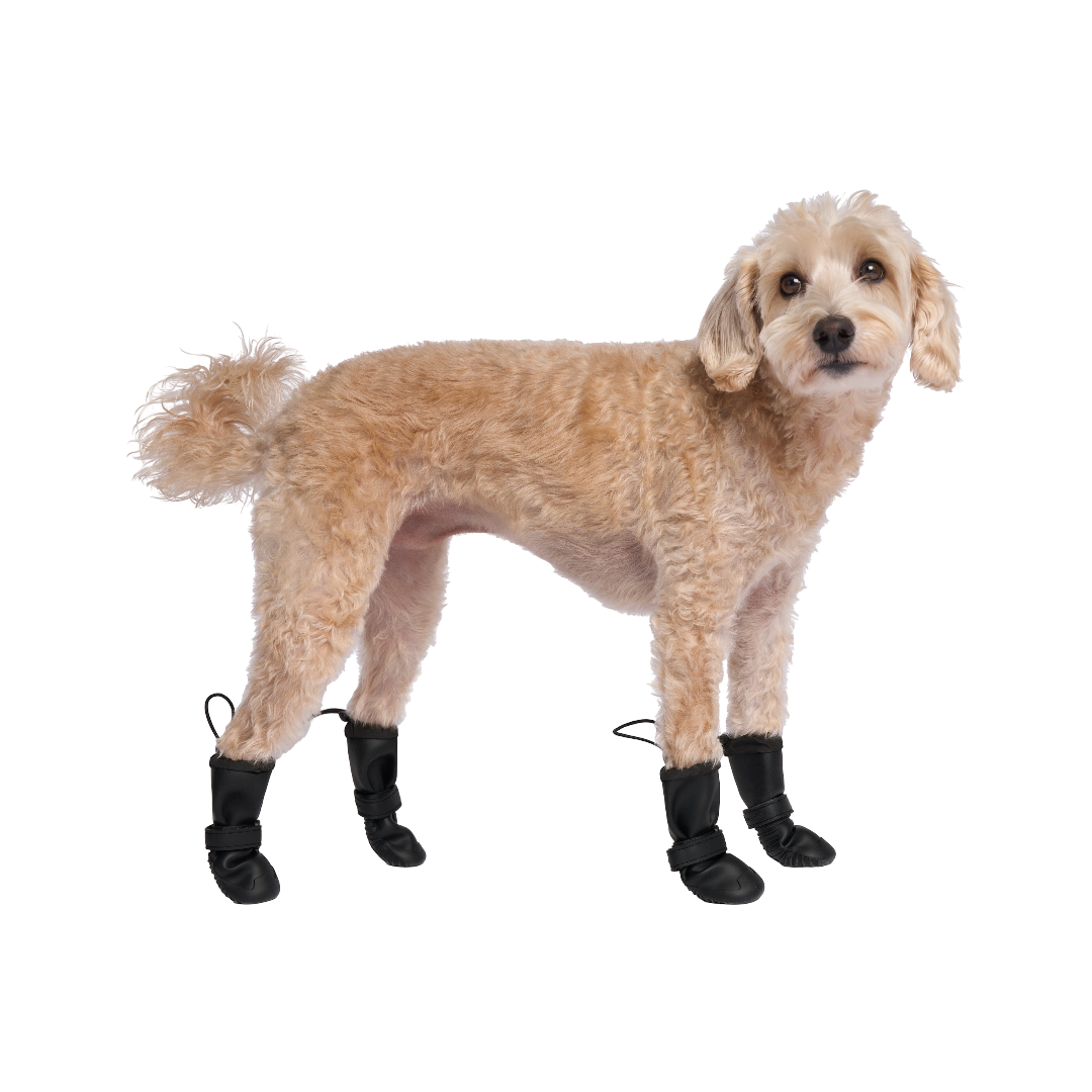 Canada Pooch Waterproof Dog Rainboots Black