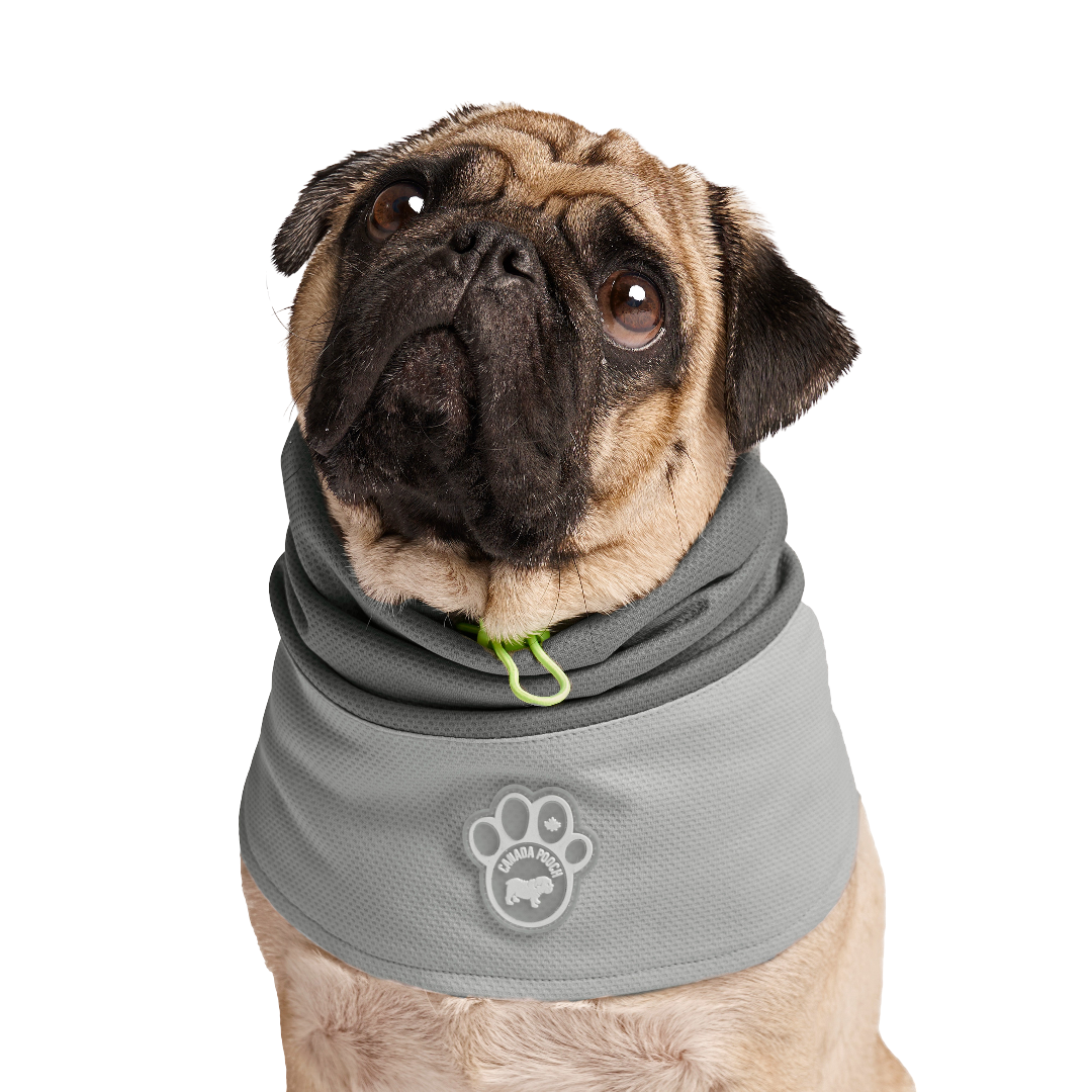 Canada Pooch Max Chill Cooling Dog Snood Grey