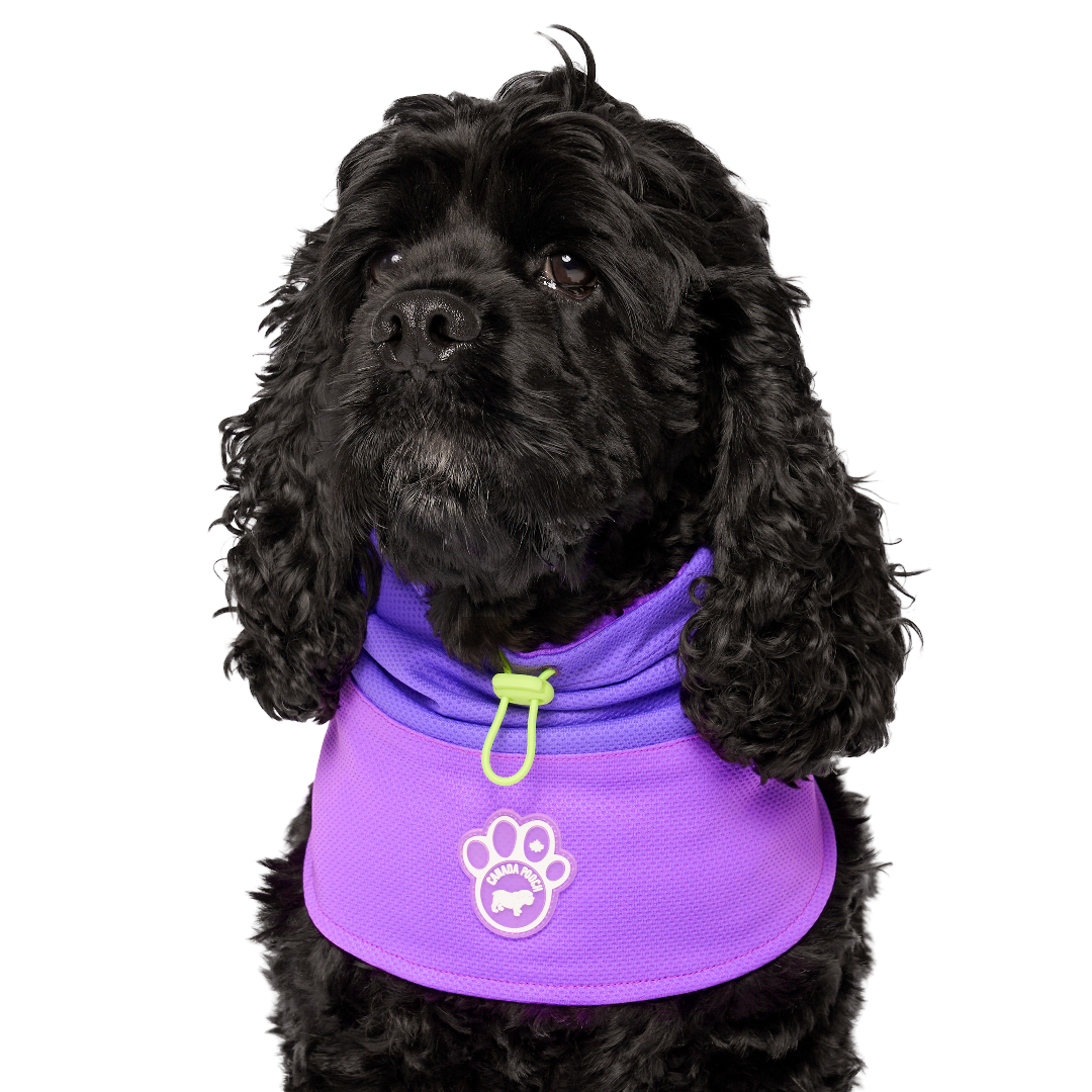 Canada Pooch Max Chill Cooling Dog Snood Purple