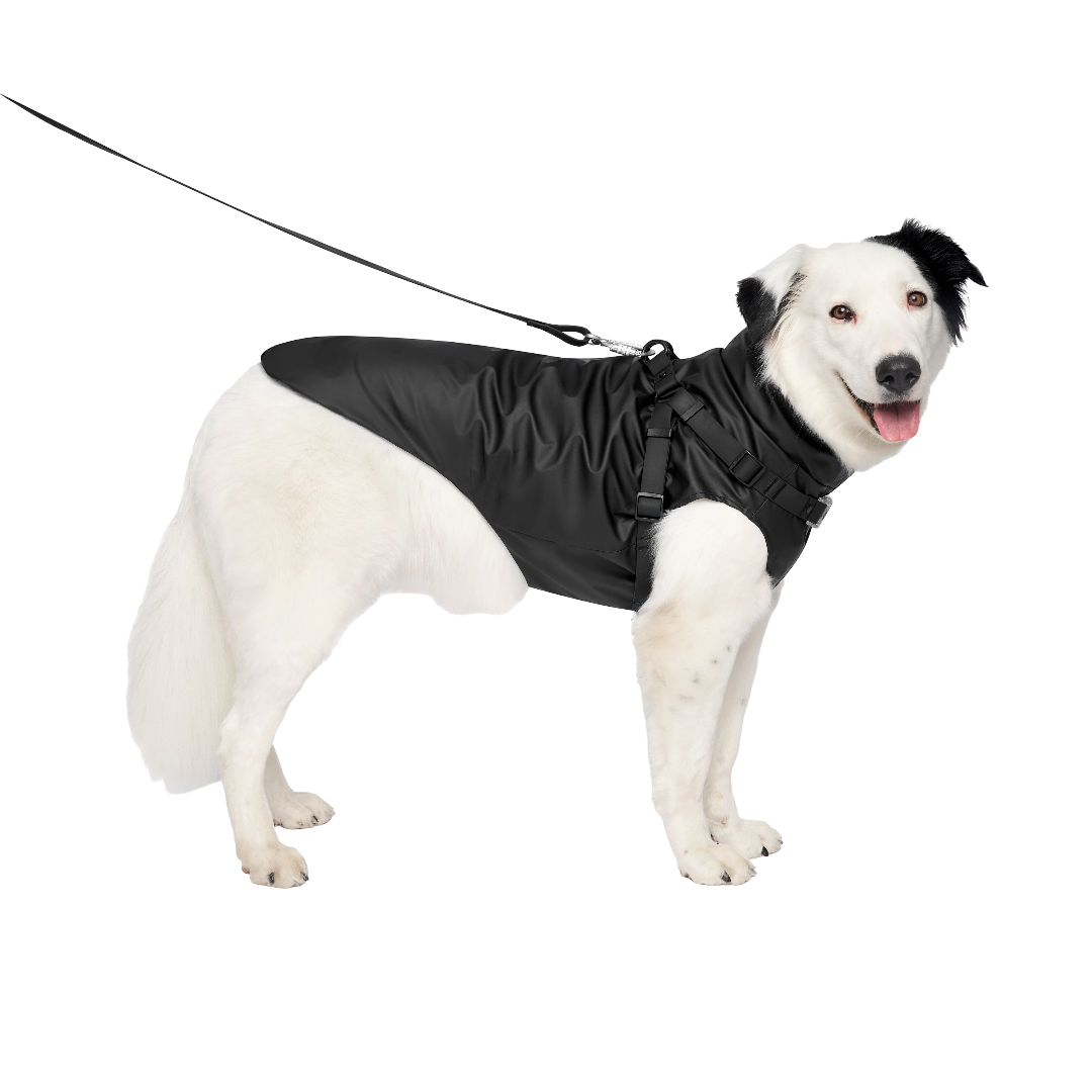 Canada Pooch Dog Raincoat With Harness Black