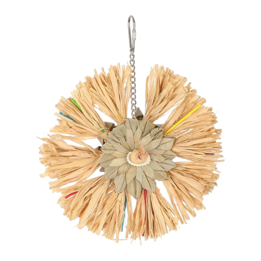 Nature Island Sunburst Raffia With Seashell Hanging Bird Toy