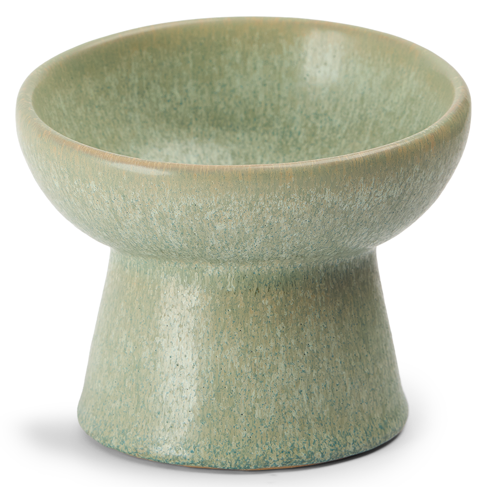 Paws For Life Ergonomic And Elevated Ceramic Pet Bowl Sage