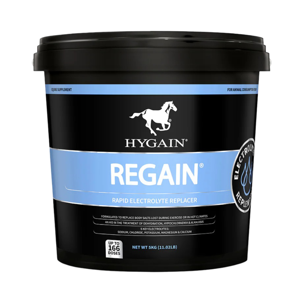 Regain Electrolyte Replacer for Horses