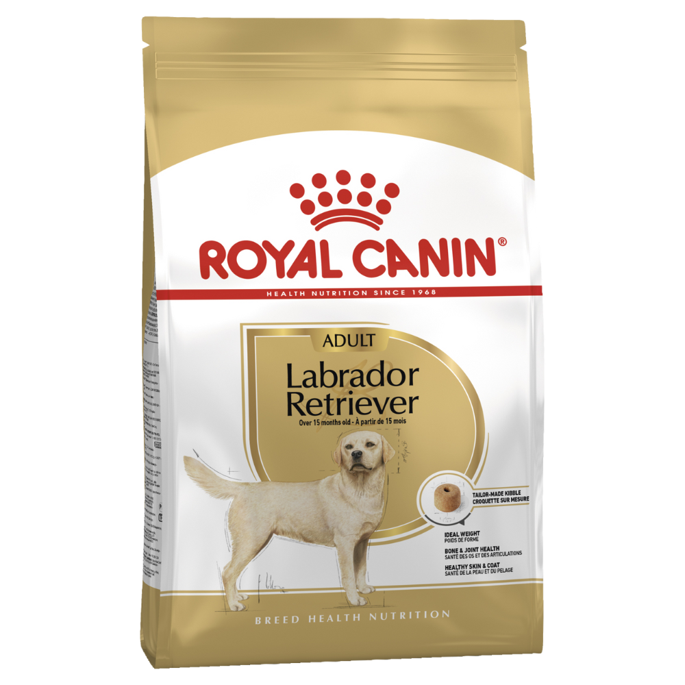 Labrador Retriever Adult Dry Dog Food