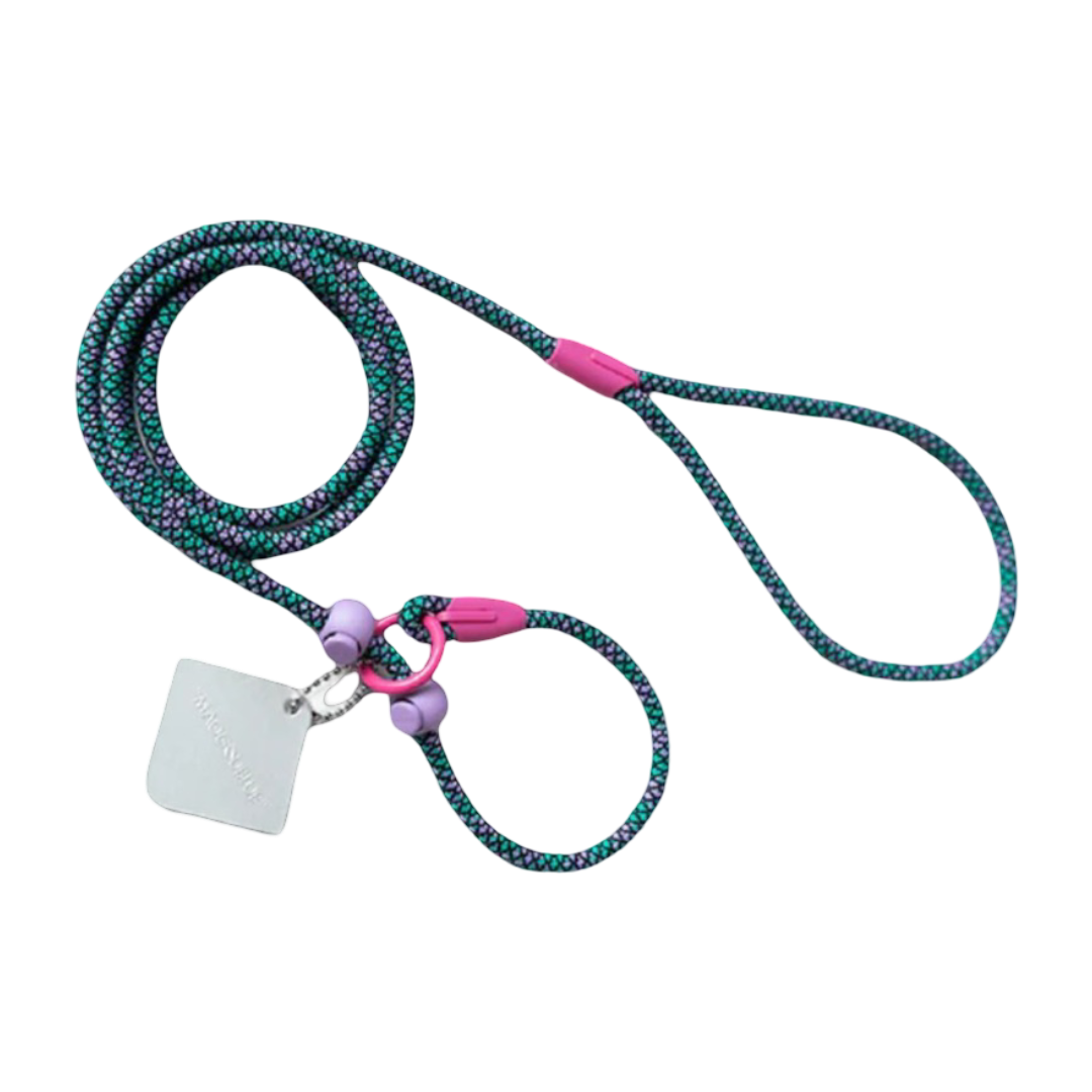 Maogou Blue Dog Slip Lead in Metal Purple