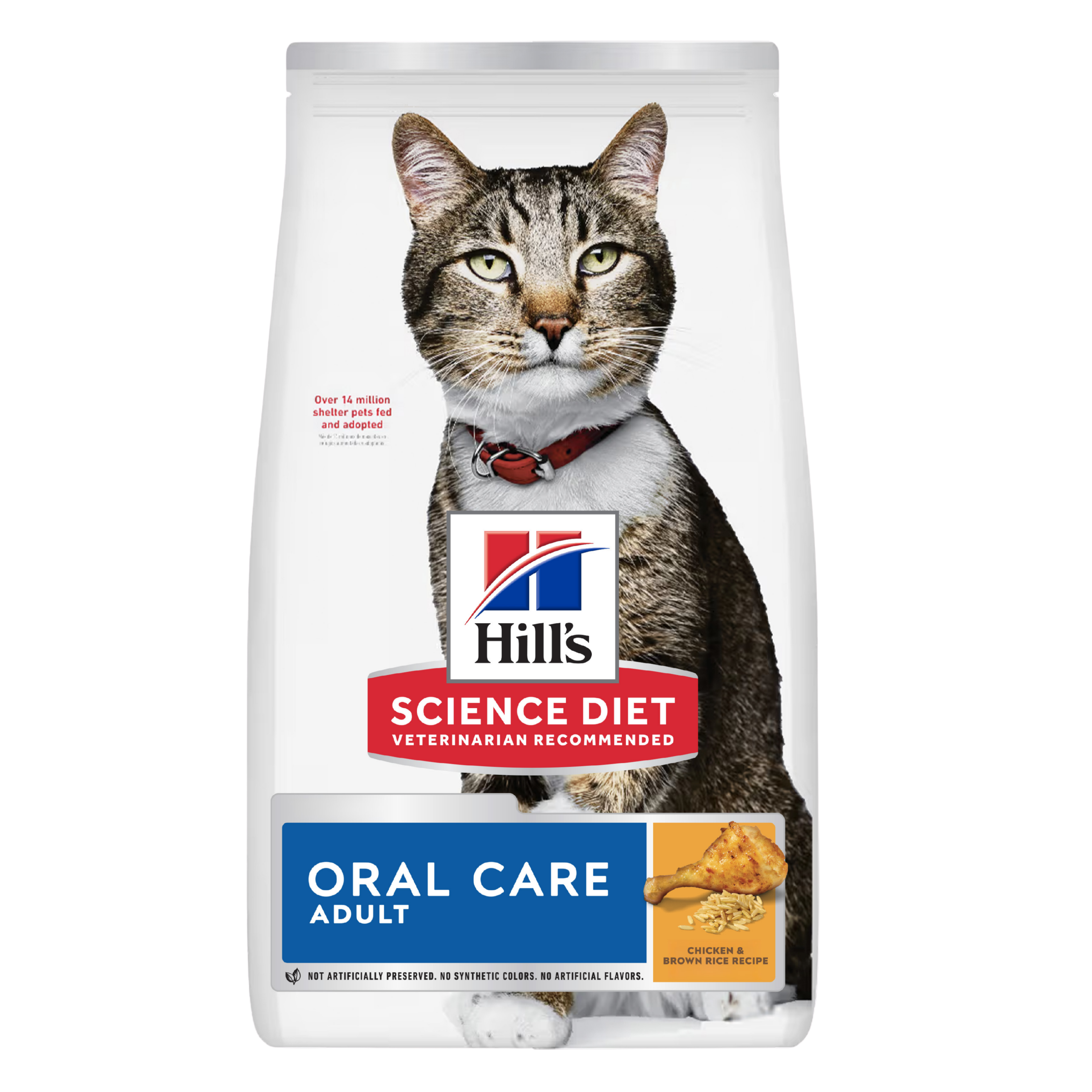 Oral Care Adult Dry Cat Food