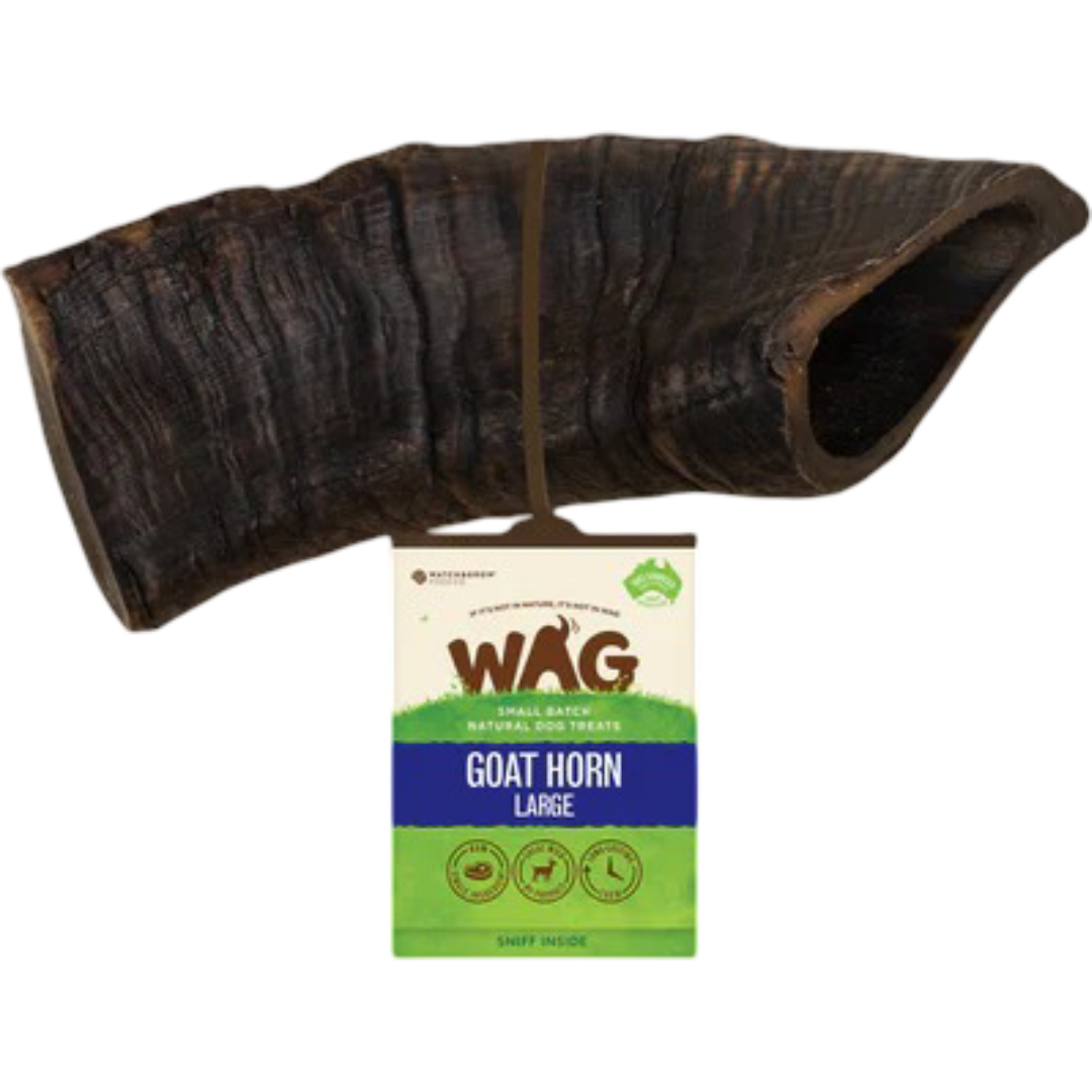 Wag Goat Horn Chew Treat for Dogs