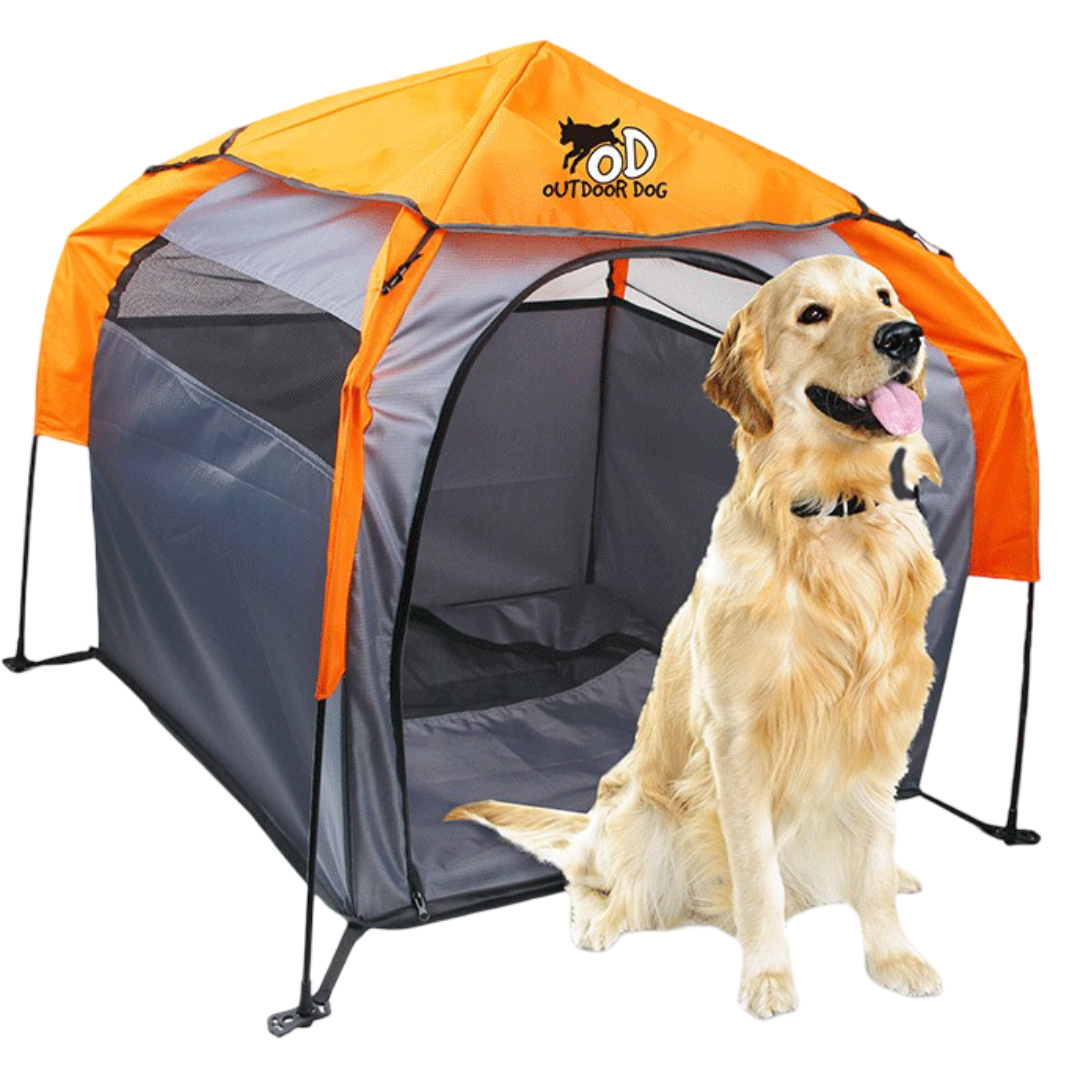 easy camp tent galaxy 400 Rustic Green Sports & Outdoors NoGi Premium mobile home rental Farbe:BXT Transparente Farbe-B (Bitte beachten Sie die Nummer)