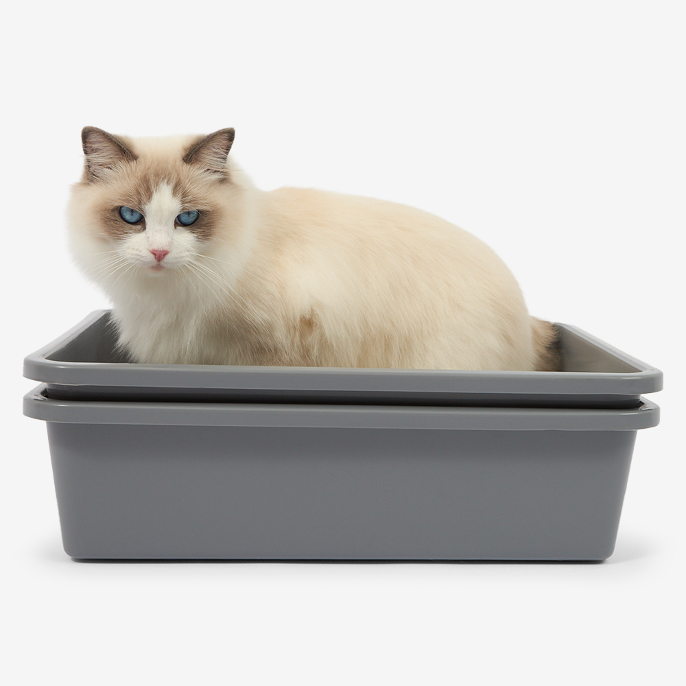 cat mate eco friendly cat litter australia