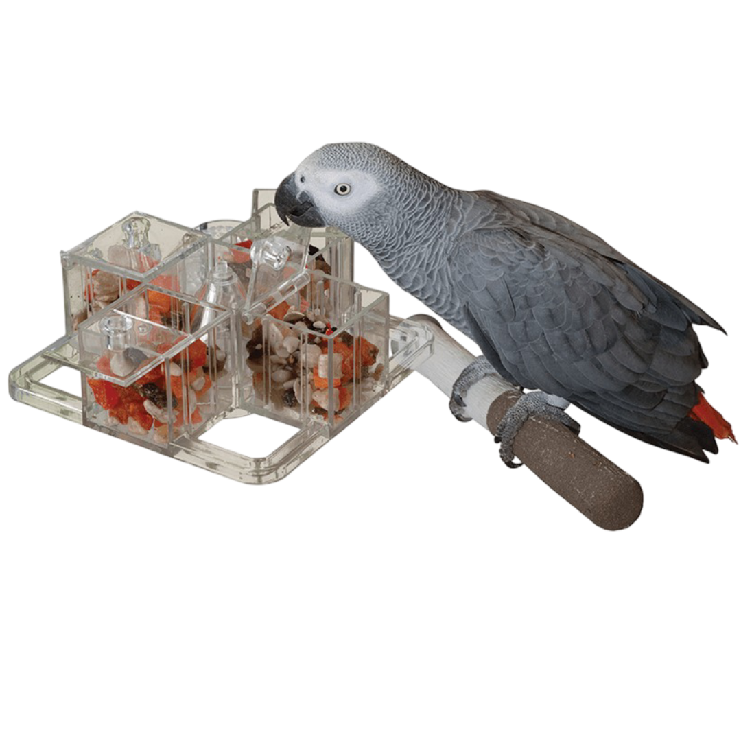 Creative Foraging 4 Corners Cage Mount