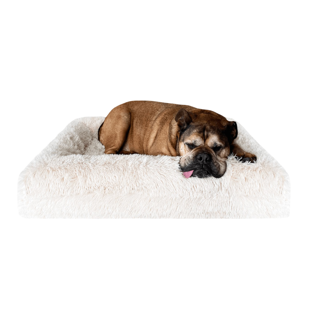 Dazy Dog Cover For Orthopaedic Dog Bed Shag Cream