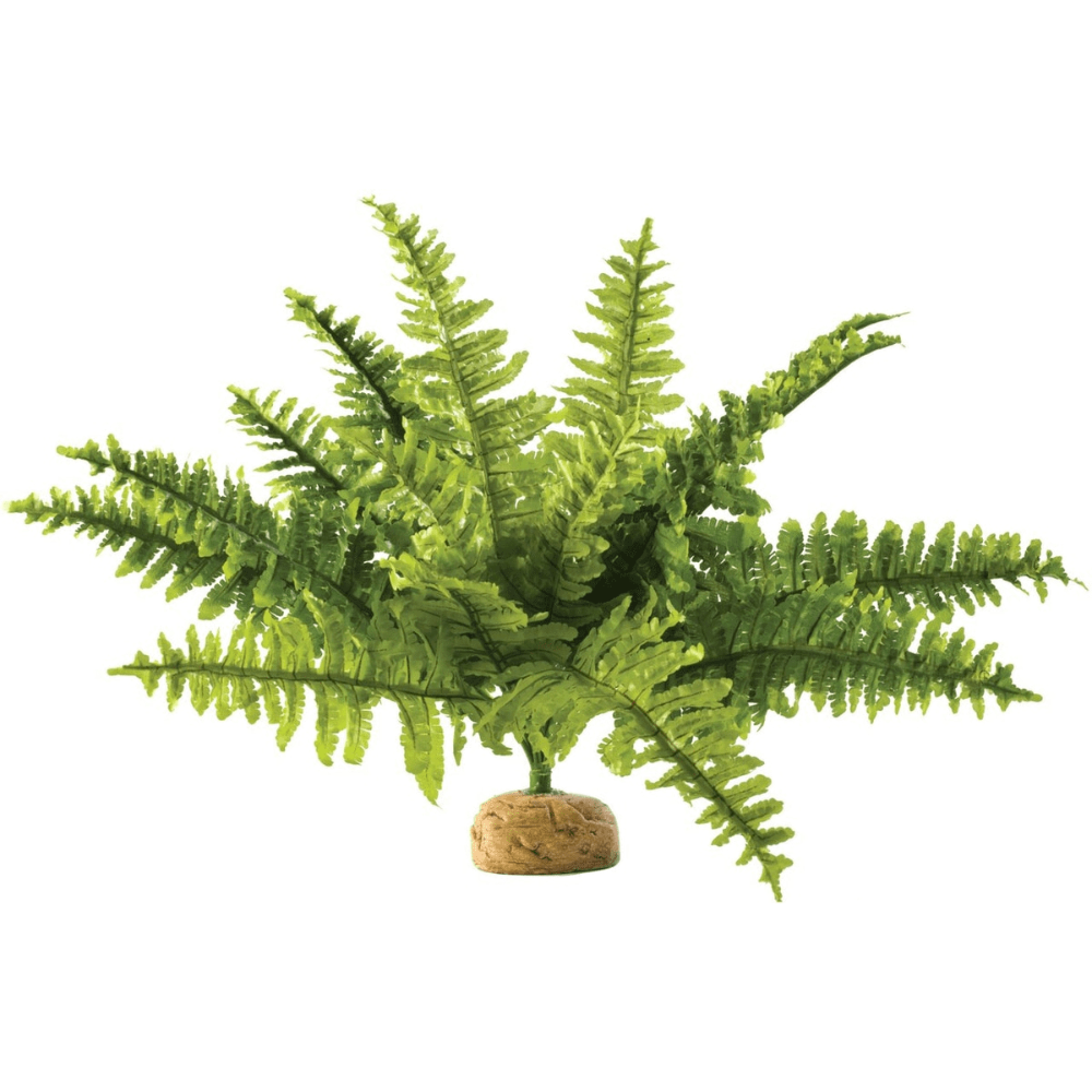 Exo Terra Boston Fern Ornament for Terrariums