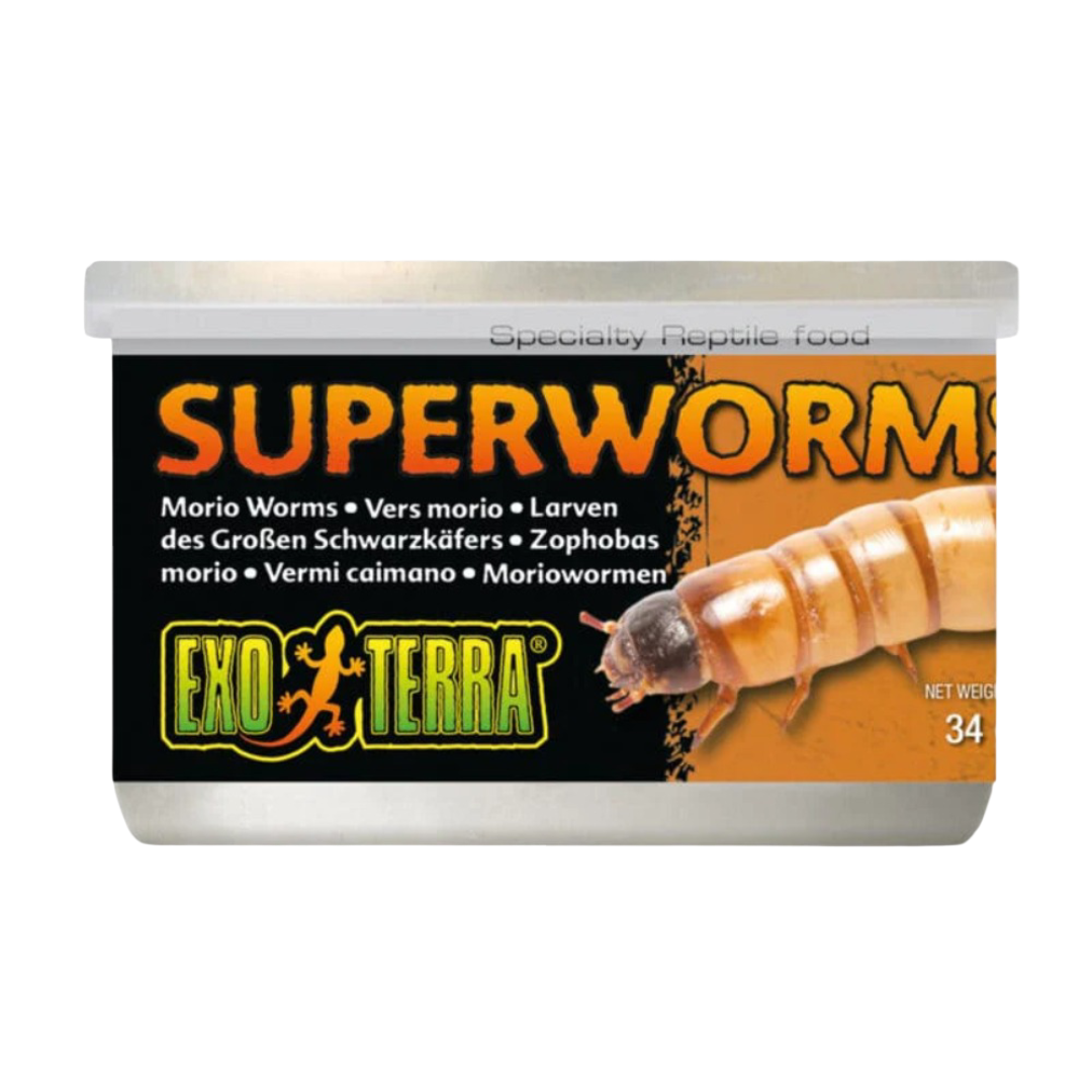 Exo Terra Canned Superworms Specialty Reptile Food