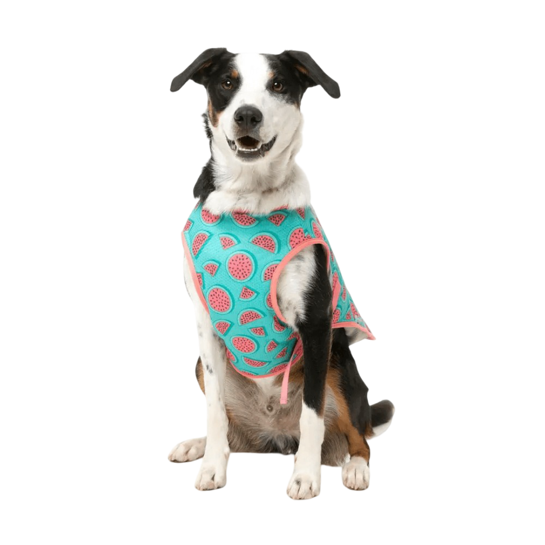 Fuzzyard Cooling Vest Summer Punch