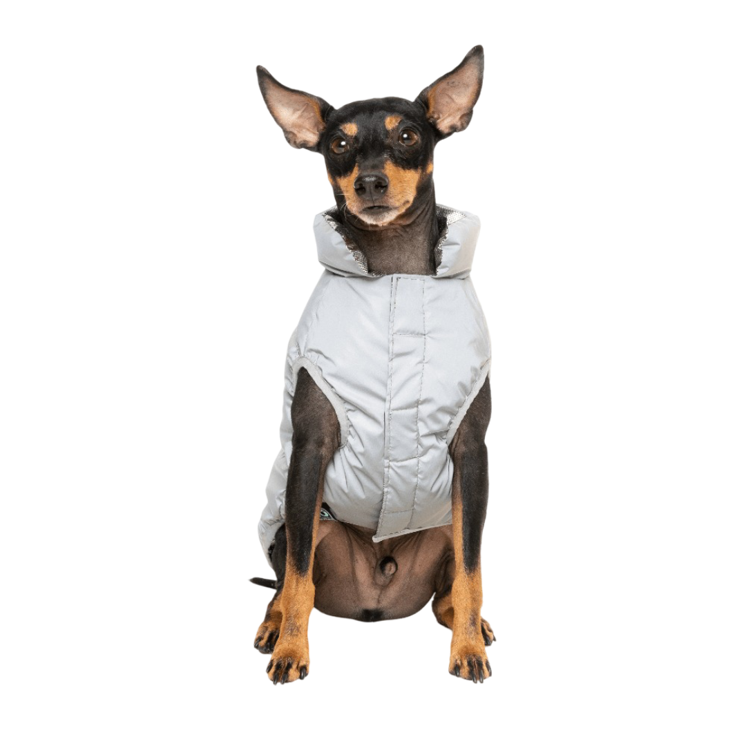 Fuzzyard Hakuba Reflective Dog Jacket