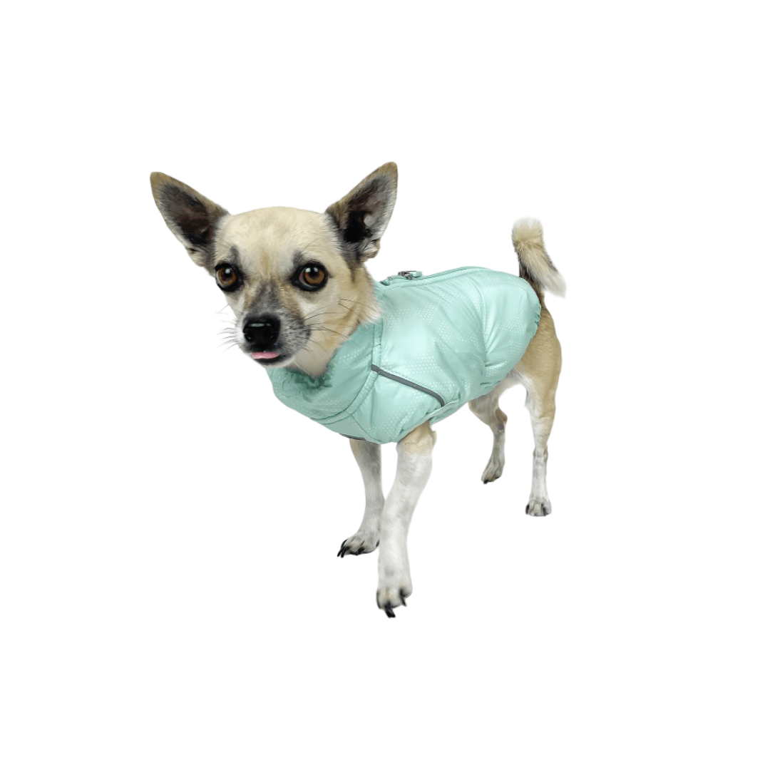 Huskimo Cardrona Jade Dog Coat