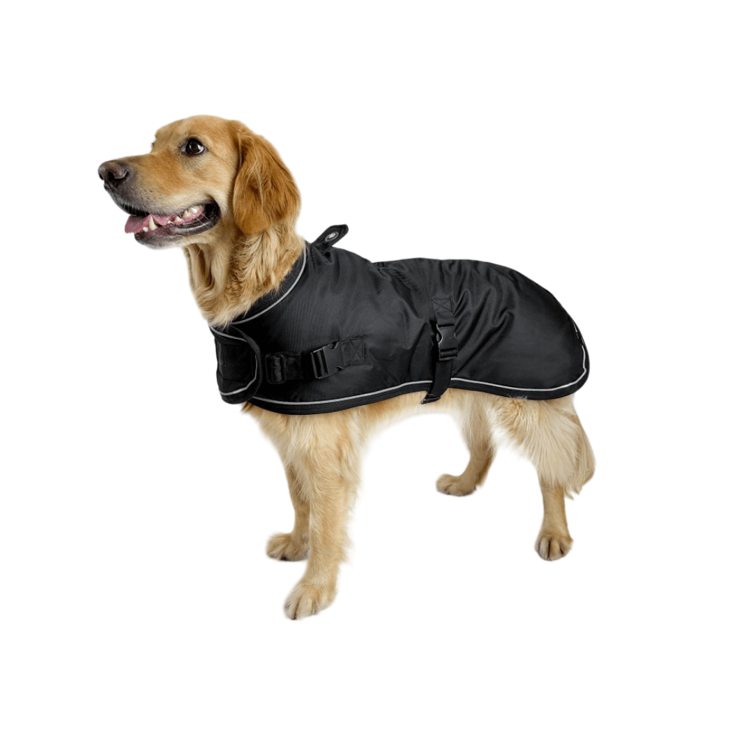 Huskimo Summit Pro Dark Sky Dog Caot
