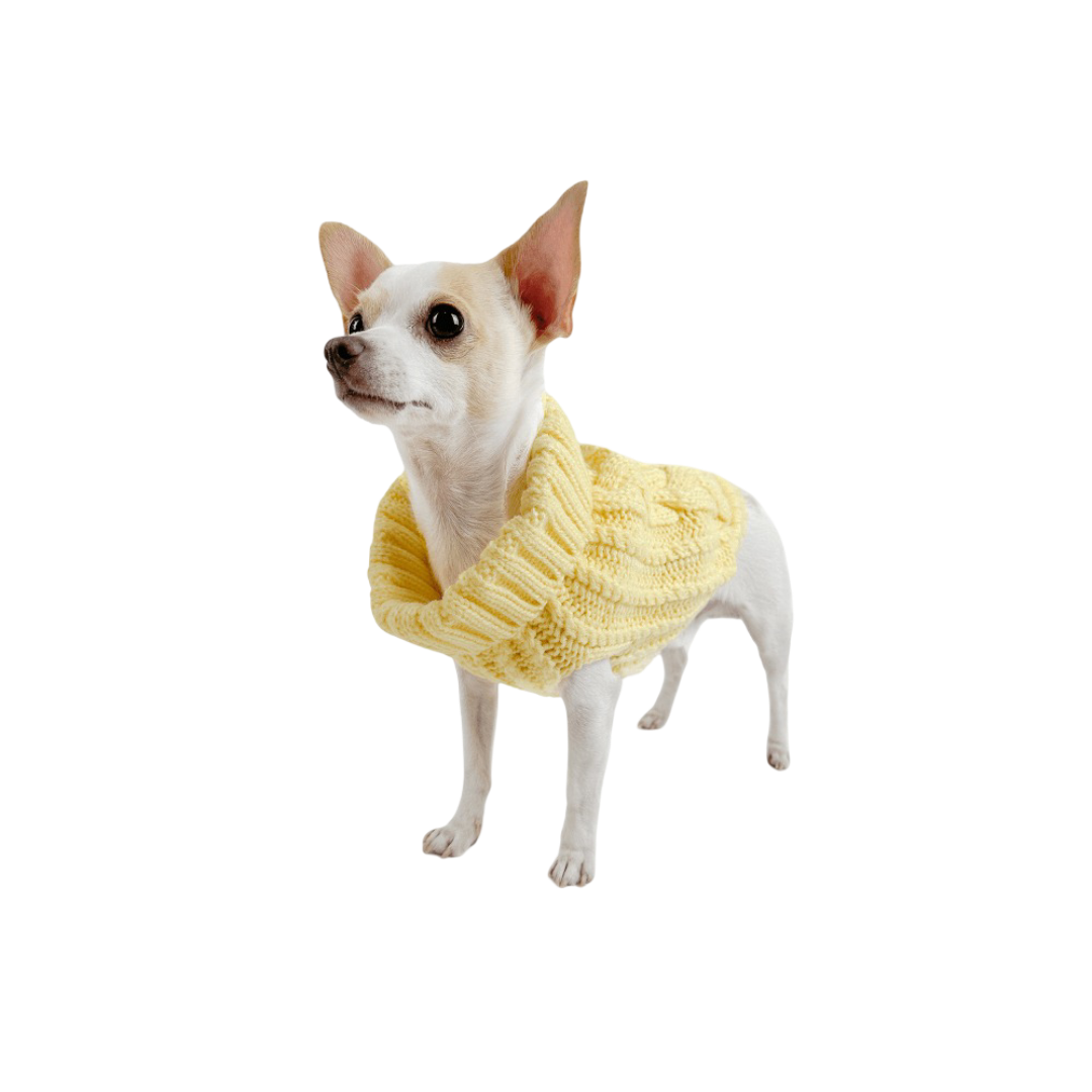 Huskimo Jumper Cali Knit Buttercup