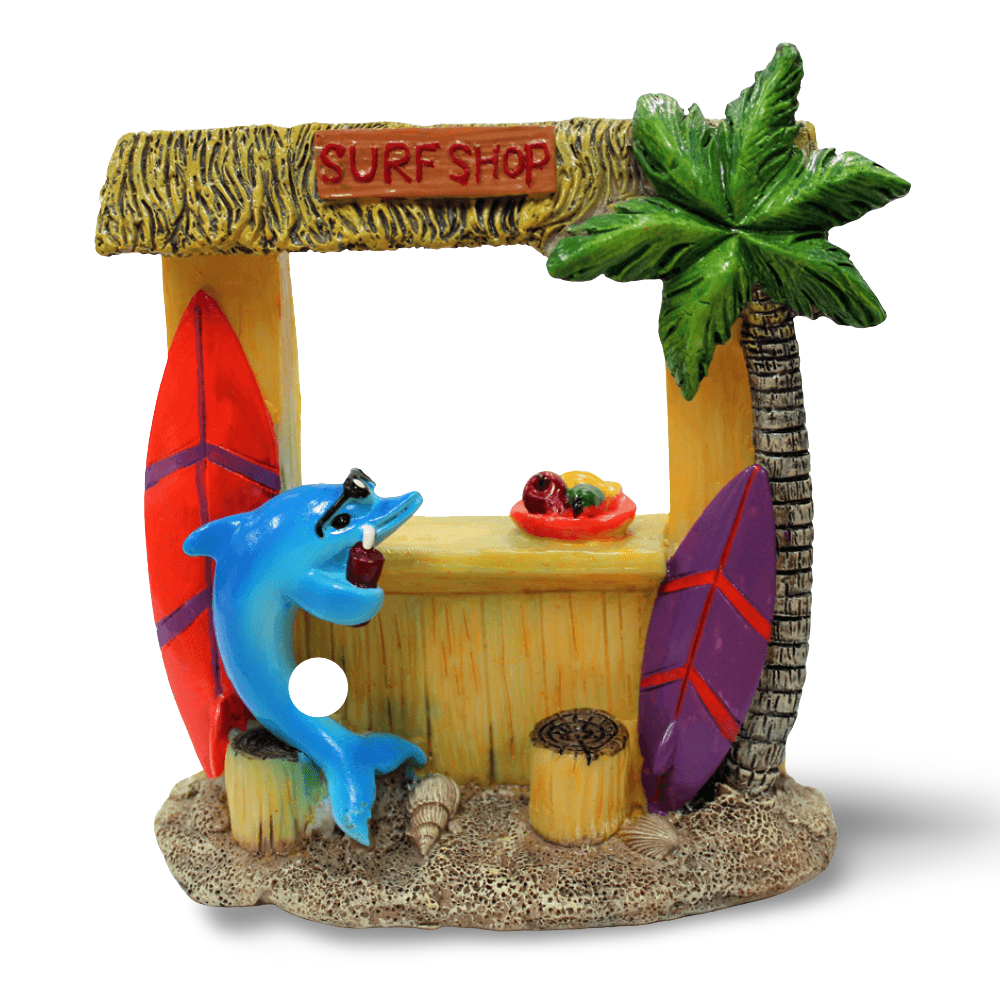 Aquatopia Hermit Crab Surf Shop