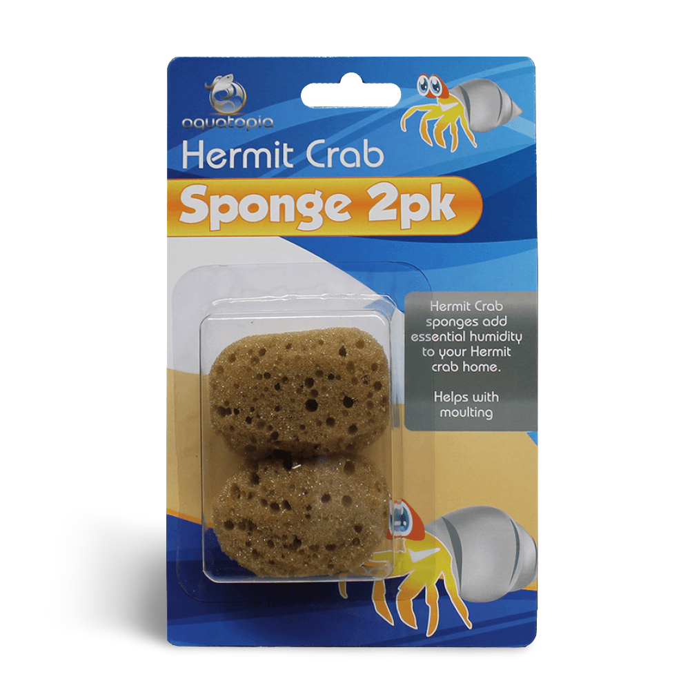 Aquatopia Hermit Crab Sponge